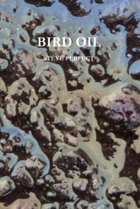 2014-06-27 bird oil jacket for web